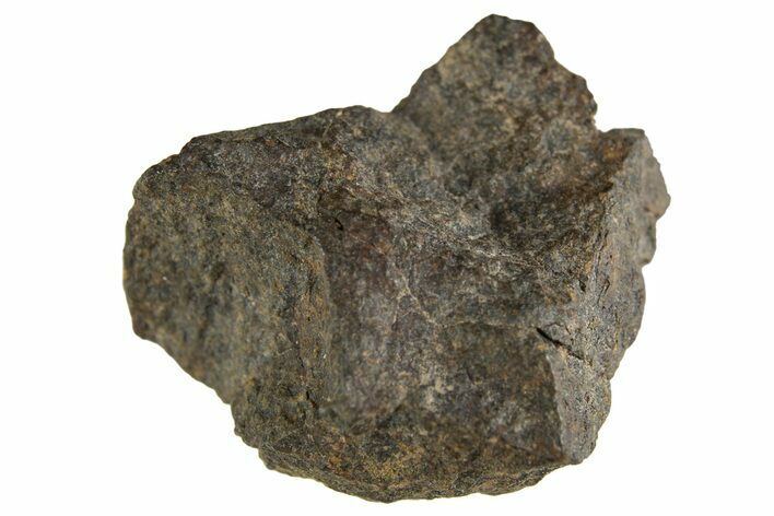 Carbonaceous Chondrite Meteorite ( g) - NWA #313690